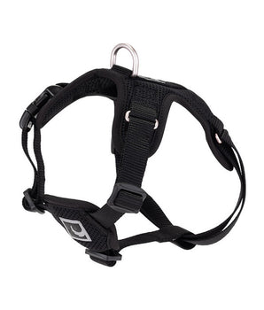 RC FORTE STEP IN HARNESS SM