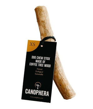 CANOPHERA COFFEE TREE DOG STICK XSM