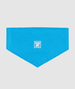 CAN POOCH CHILL SEEK BANDANA BLU LG