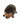 OH HEDGEHOG JR