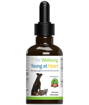 PET WELLBEING YOUNG AT HEART 2OZ