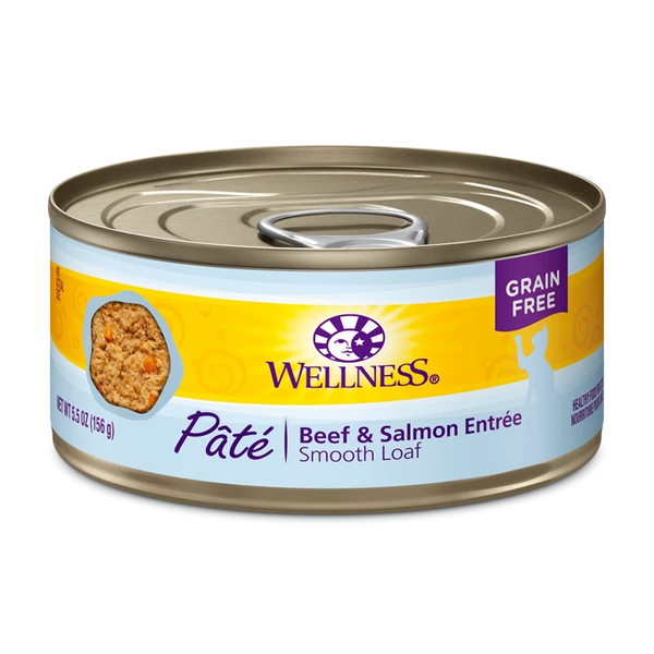 WS BEEF/SALMON CAT CAN 155G