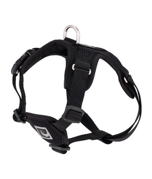 RC FORTE STEP IN HARNESS MED