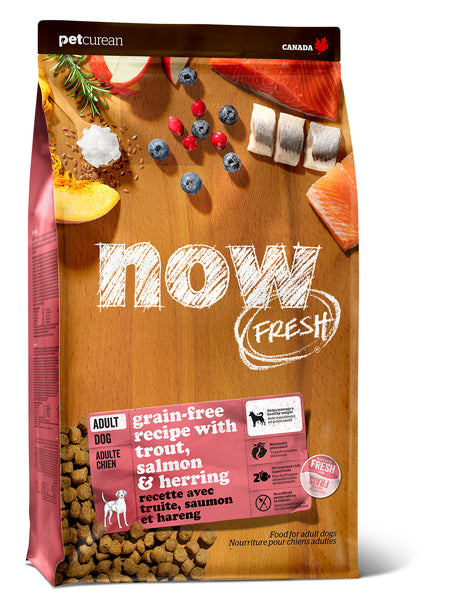 NOW FRESH ADULT FISH DOG 22LB