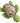 SNUGAROOZ HOLLY TURTLE UGLY SWTR GRN
